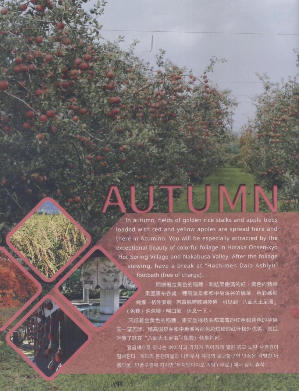 Shino'S Farm Inn Azumino Luaran gambar